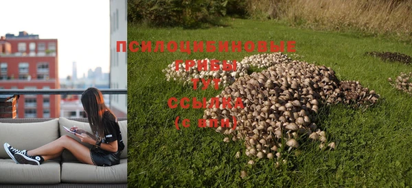 ECSTASY Зерноград