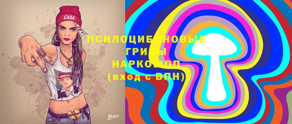 PSILOCYBIN Зеленодольск