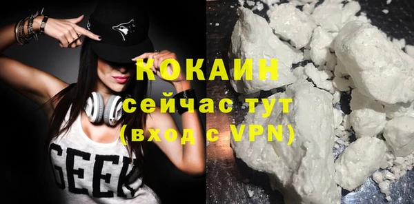mdpv Ельня