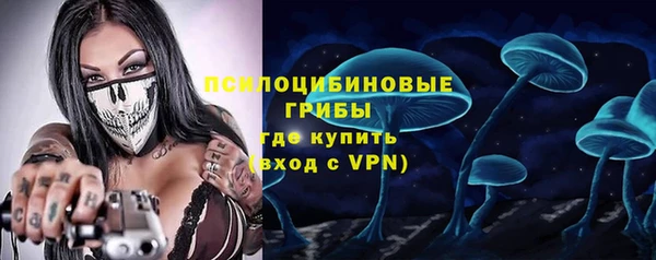 PSILOCYBIN Зеленодольск